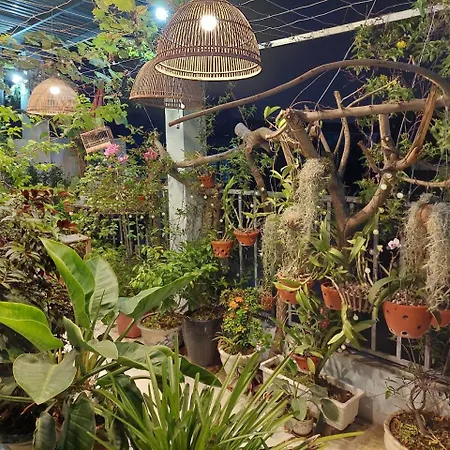 Alleyhomestay 2-2